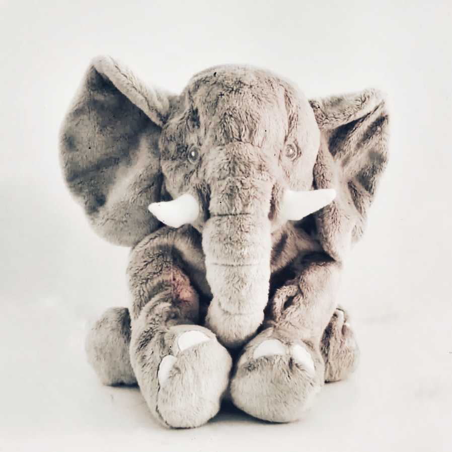 Elefante