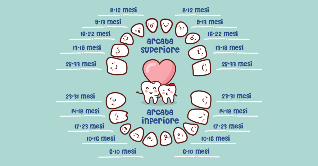 quando crescono denti da latte